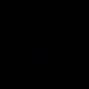 Meet your Posher, Bella